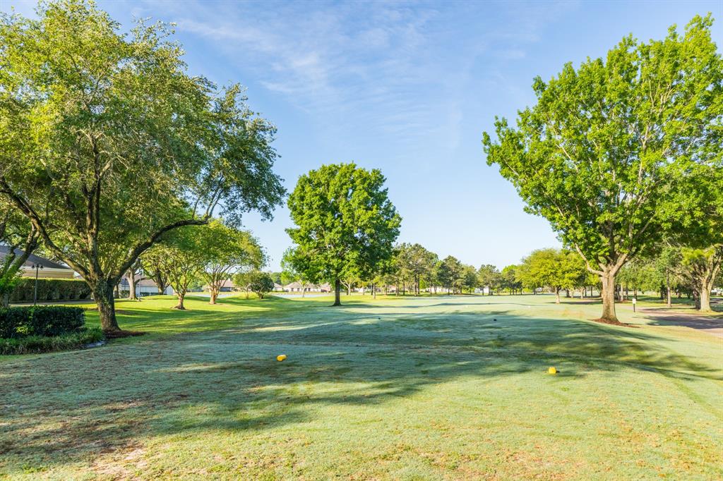 2718 N Larkspur Circle, Pearland, Texas image 31