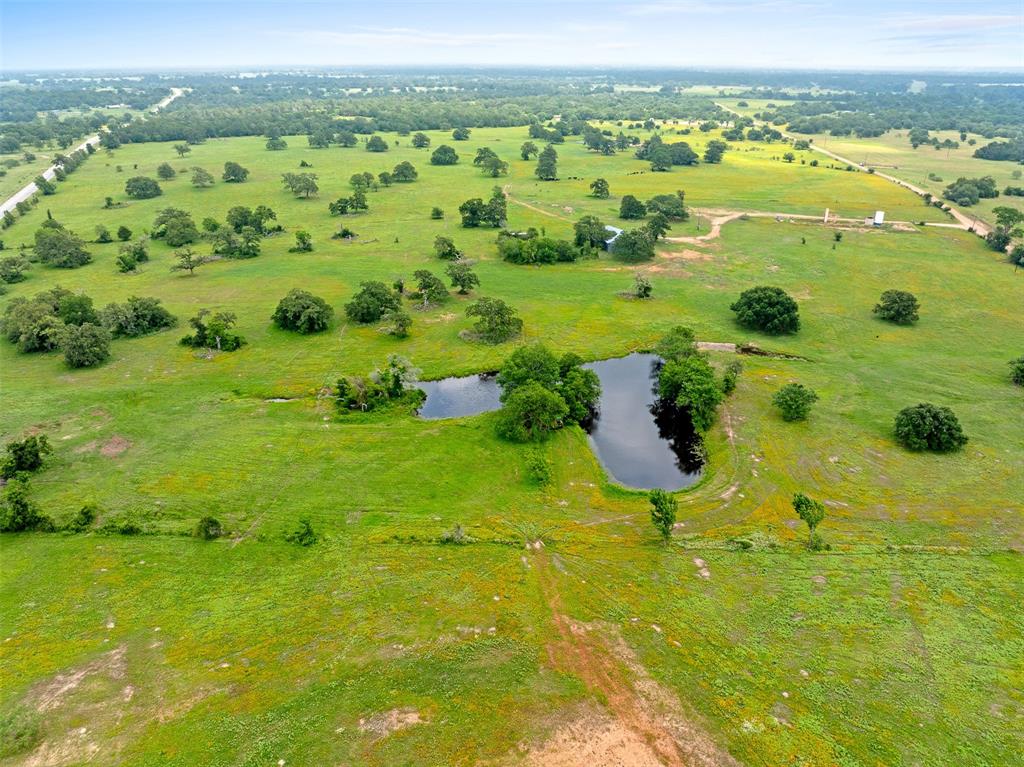 TBD Fm 141, Giddings, Texas image 6