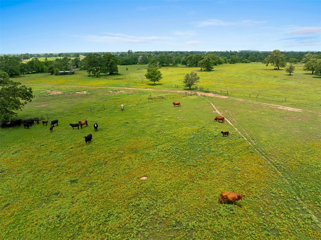 TBD Fm 141, Giddings, Texas image 9