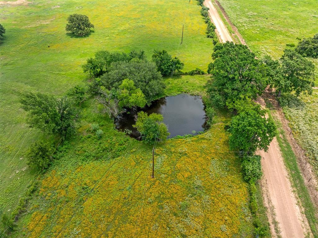 TBD Fm 141, Giddings, Texas image 25