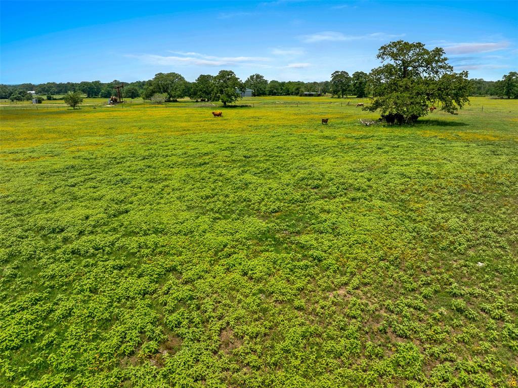 TBD Fm 141, Giddings, Texas image 23