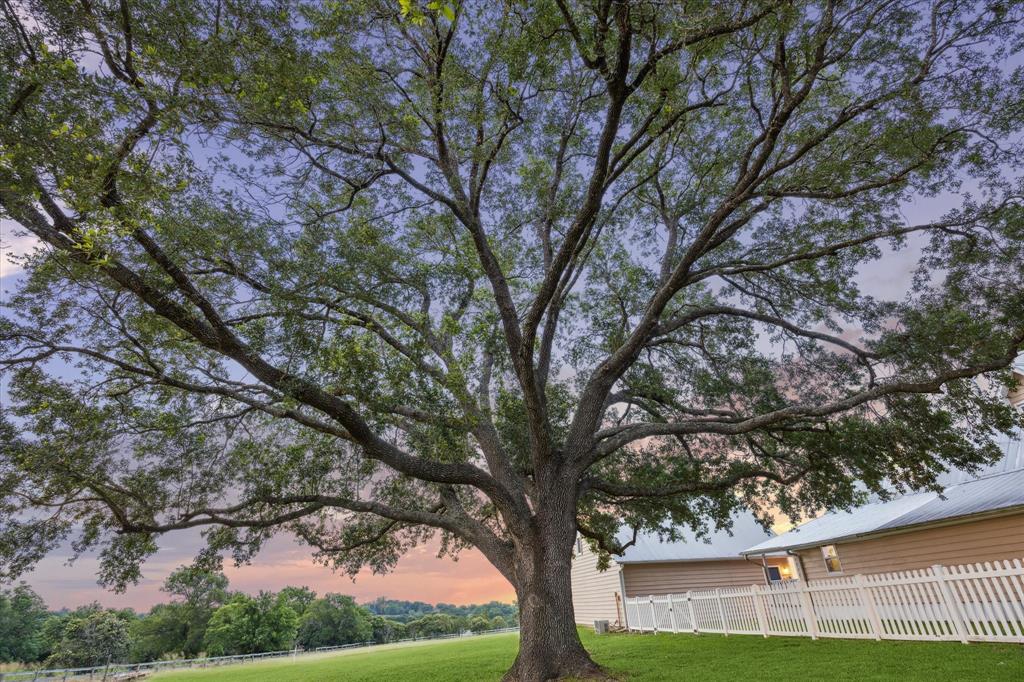 3100 Pleasant Hill Road, Chappell Hill, Texas image 46