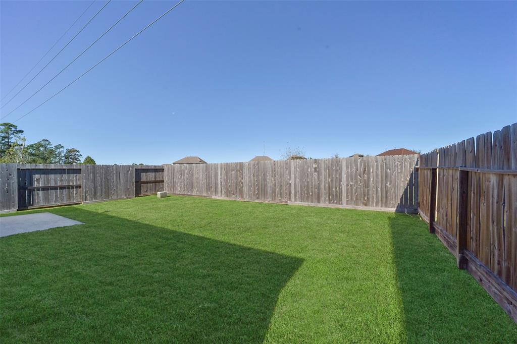 29357 Forest Floor Lane, Spring, Texas image 26