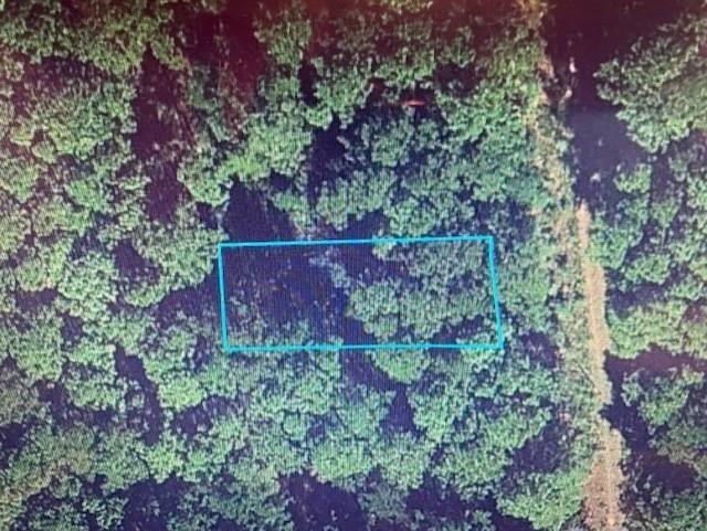 Lot 13 Bluebonnet Drive, Navasota, Texas image 1