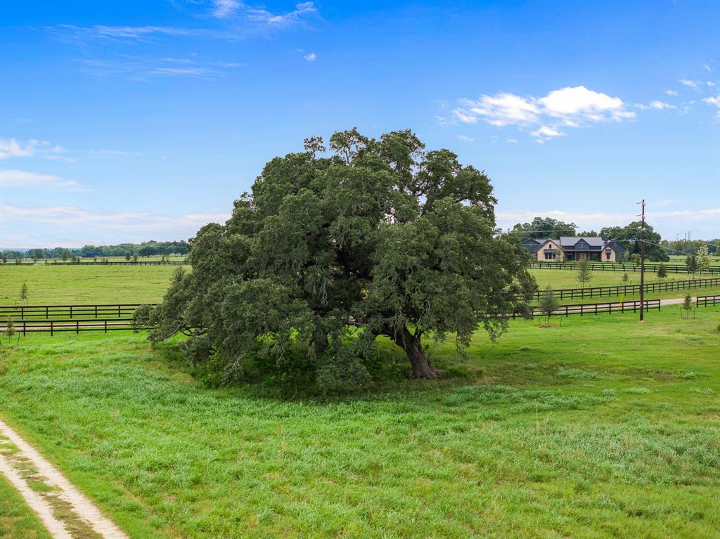 TBD Hartfield Tract 4 Road, Round Top, Texas image 10