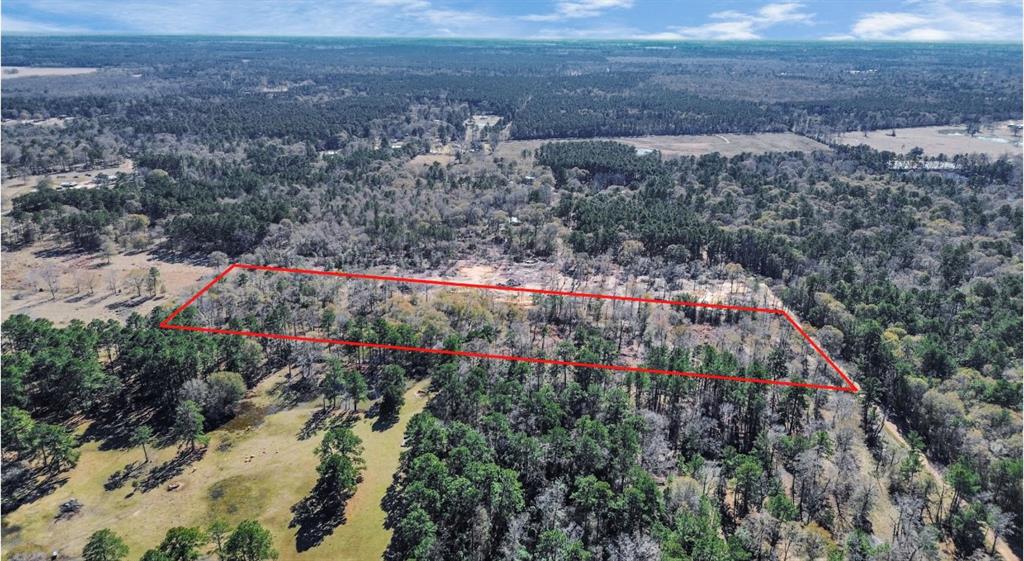 County Road 2195, Cleveland, Texas image 6