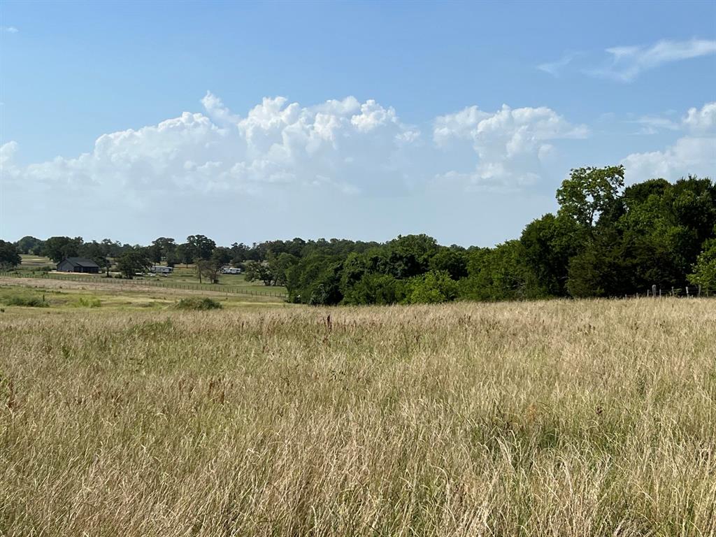 5503 Fm 149 E, Anderson, Texas image 11