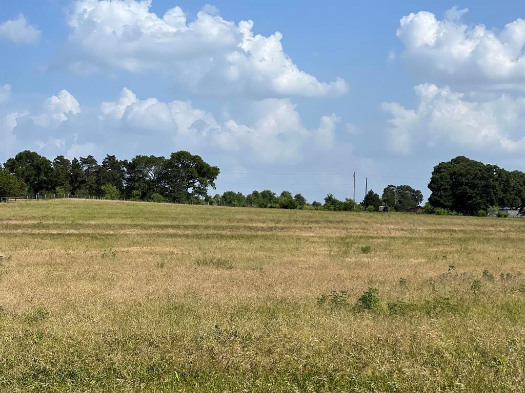 5503 Fm 149 E, Anderson, Texas image 6