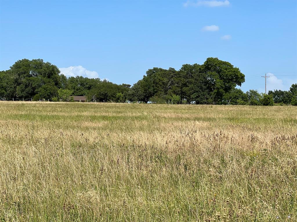 5503 Fm 149 E, Anderson, Texas image 5