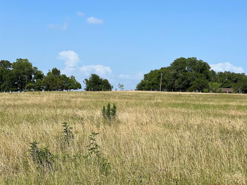 5503 Fm 149 E, Anderson, Texas image 15
