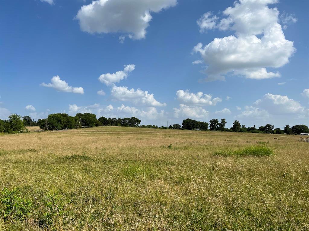 5503 Fm 149 E, Anderson, Texas image 17
