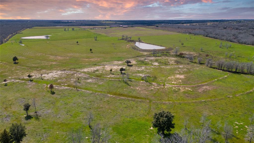 62 County Road 448, Waelder, Texas image 4