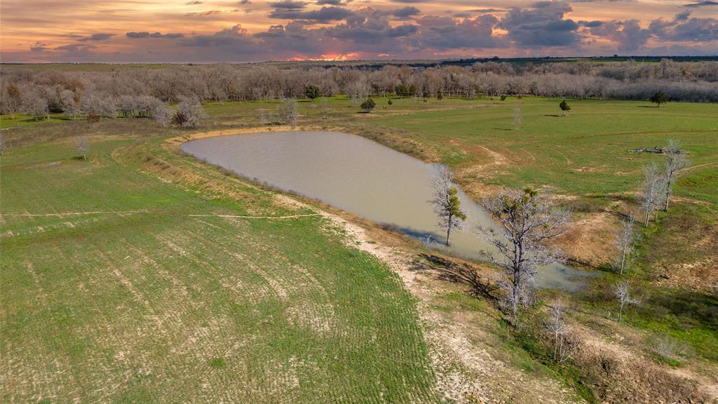 62 County Road 448, Waelder, Texas image 12