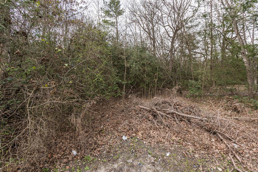 135 Oakwood Point, Trinity, Texas image 3