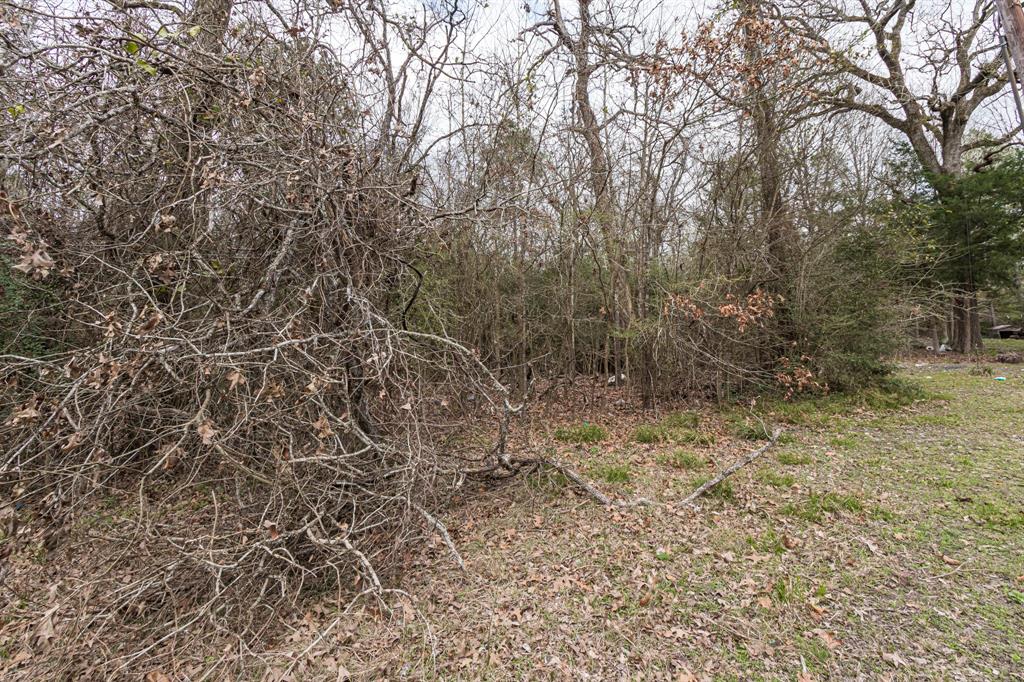 135 Oakwood Point, Trinity, Texas image 9