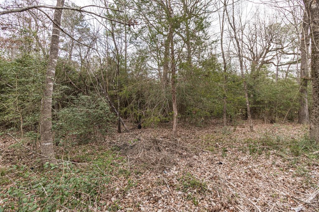 135 Oakwood Point, Trinity, Texas image 6