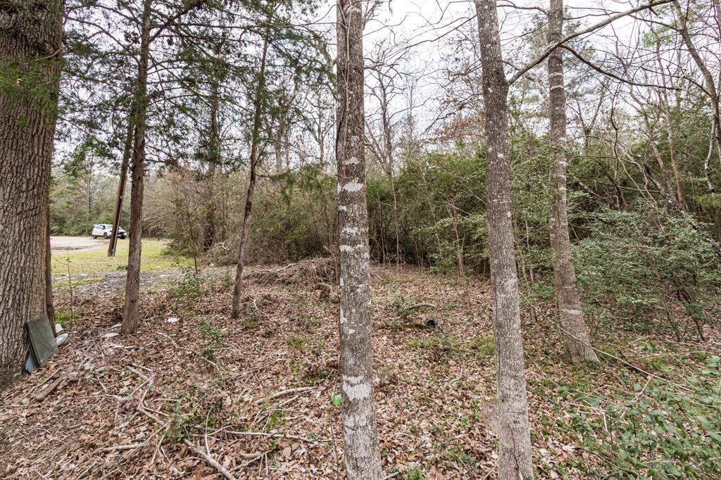 135 Oakwood Point, Trinity, Texas image 7