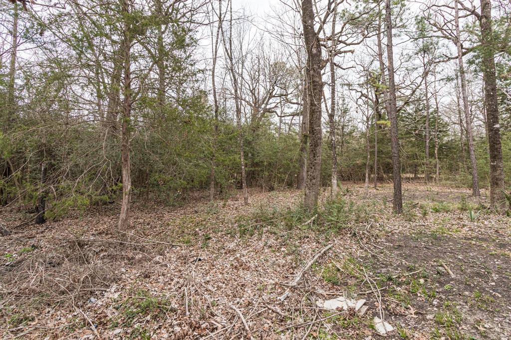 135 Oakwood Point, Trinity, Texas image 5