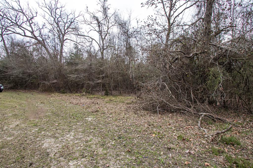 135 Oakwood Point, Trinity, Texas image 8