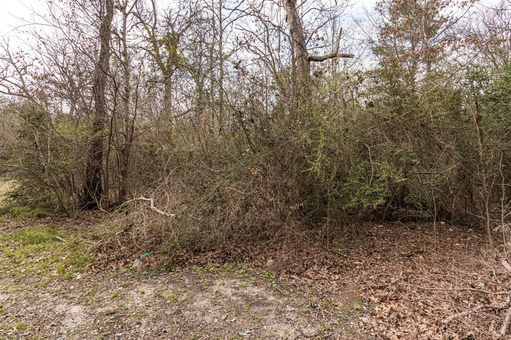 135 Oakwood Point, Trinity, Texas image 4