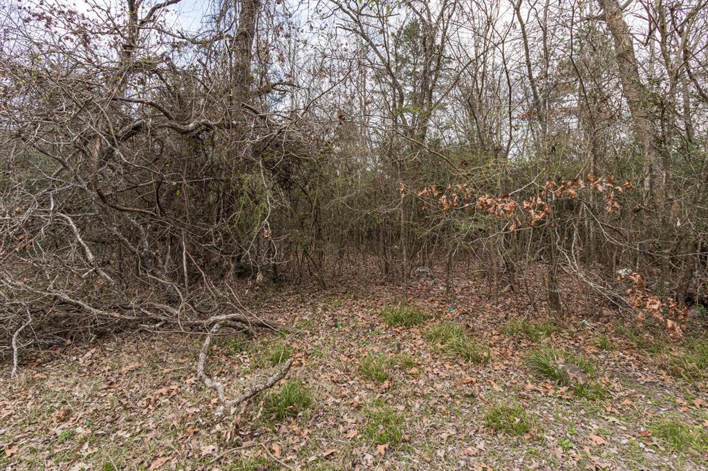 135 Oakwood Point, Trinity, Texas image 2