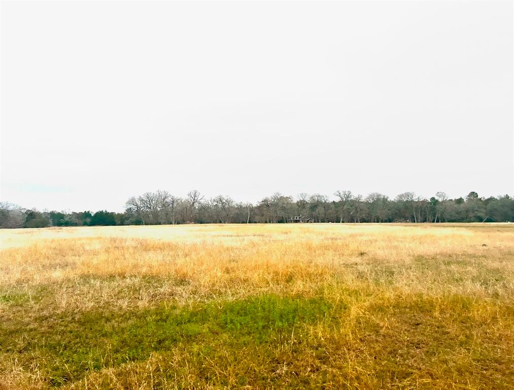 TBD 0 LOTS  1 & 2 Longhorn Loop, New Waverly, Texas image 1