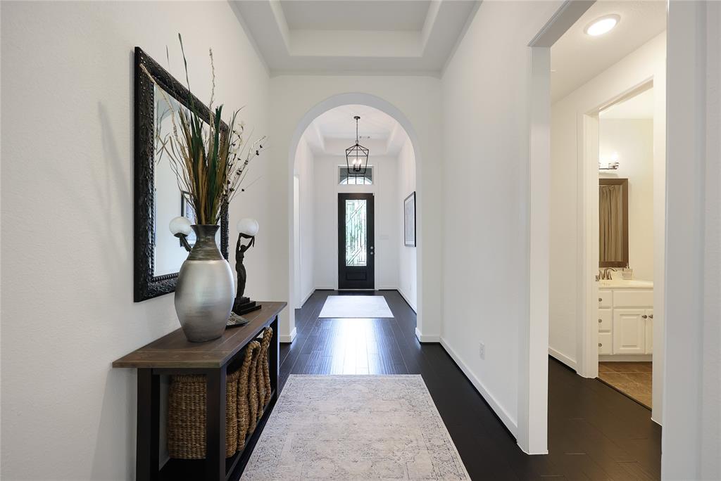 209 Bee Cave Court, Montgomery, Texas image 3