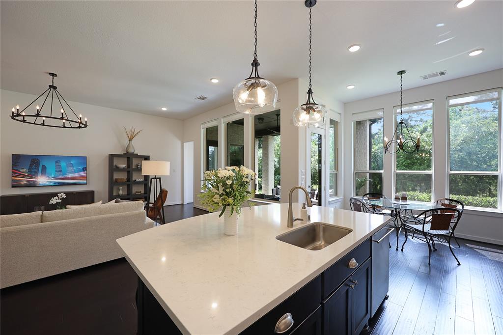 209 Bee Cave Court, Montgomery, Texas image 13