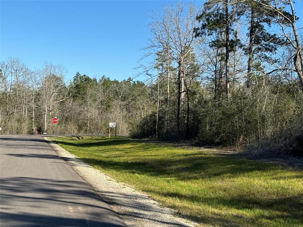 109 Noble Drive, New Waverly, Texas image 8