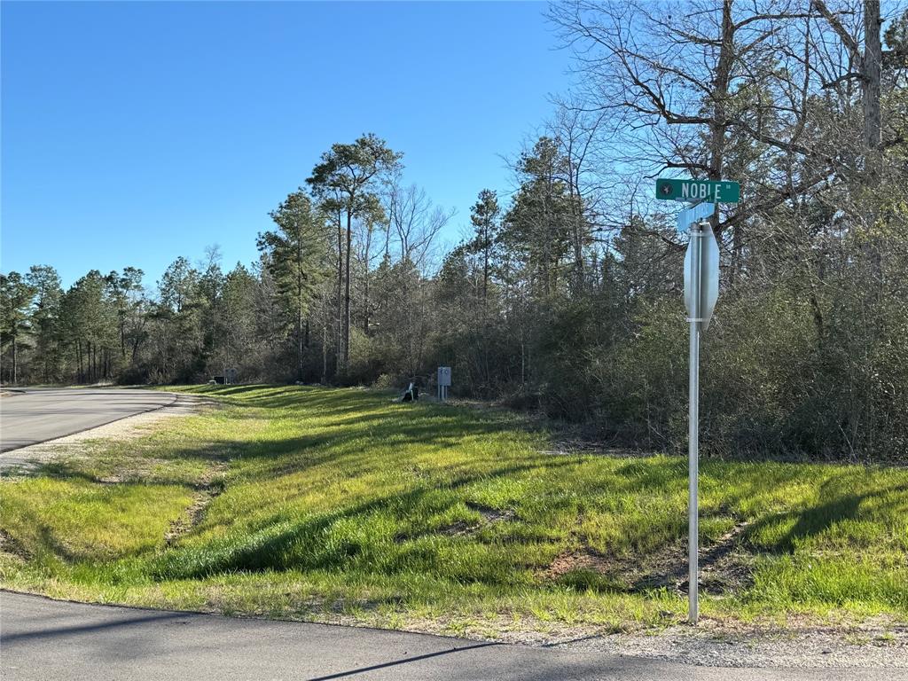 109 Noble Drive, New Waverly, Texas image 7