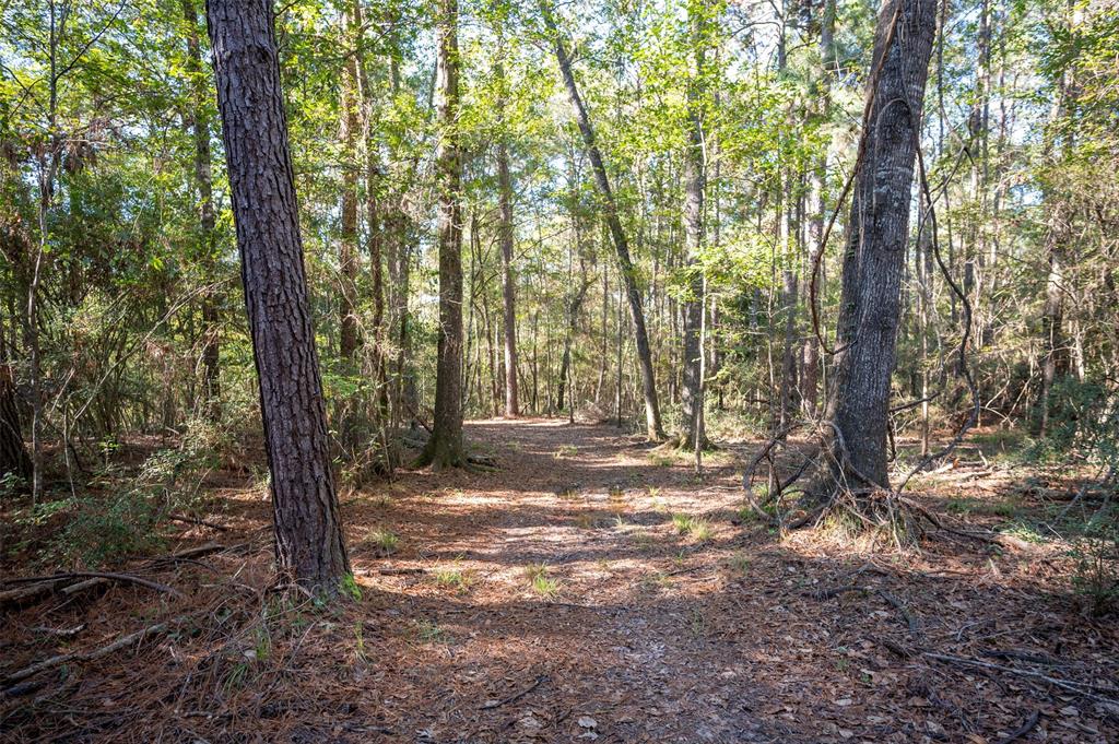 400 County Road 2162, Woodville, Texas image 41