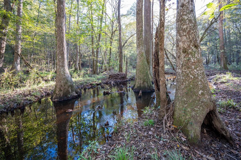 400 County Road 2162, Woodville, Texas image 37