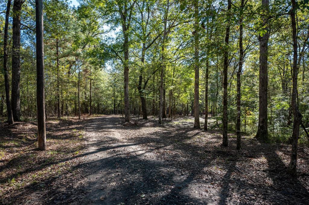 400 County Road 2162, Woodville, Texas image 9