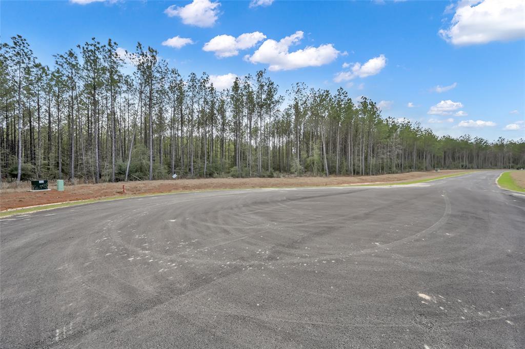 16207 Golden Wood Court, Willis, Texas image 3