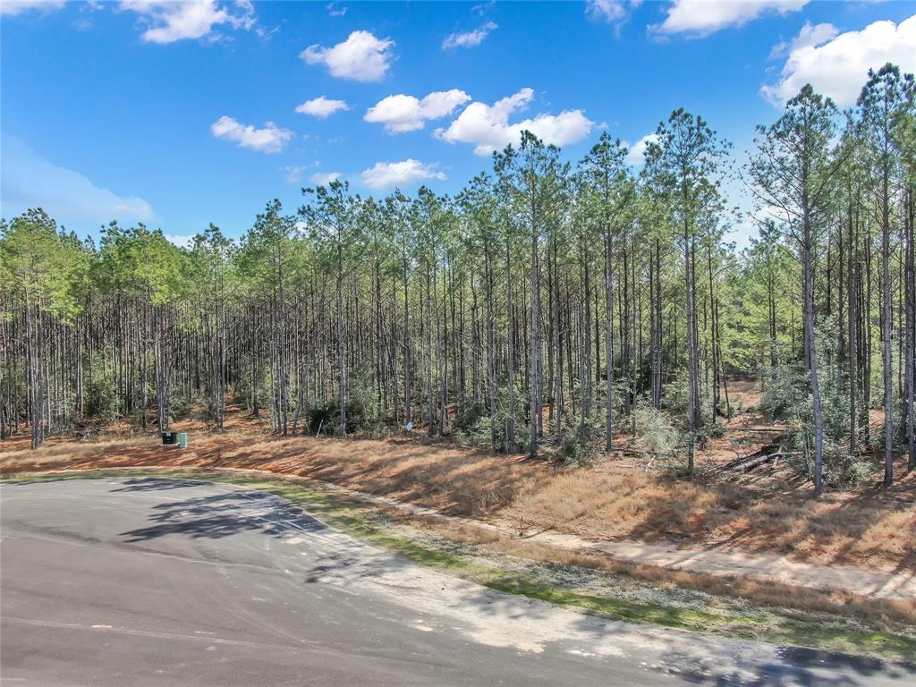 16207 Golden Wood Court, Willis, Texas image 13