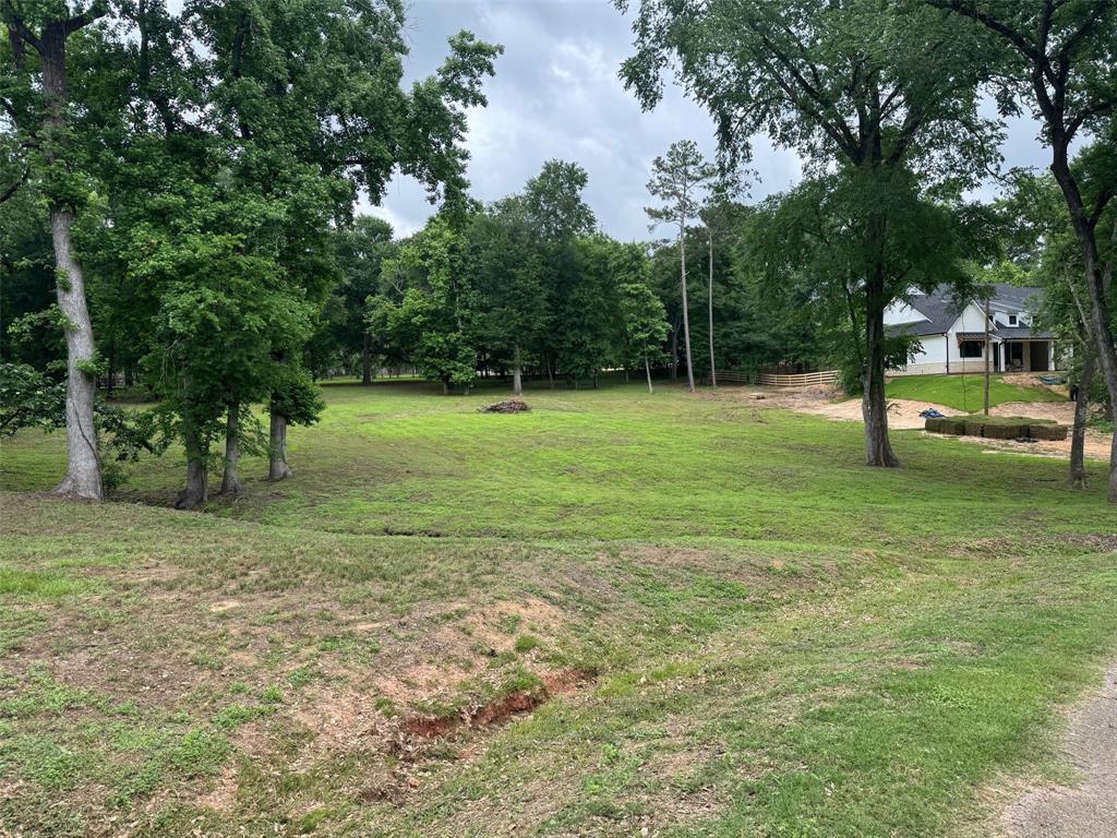 13455 Country Oak Drive, Willis, Texas image 6