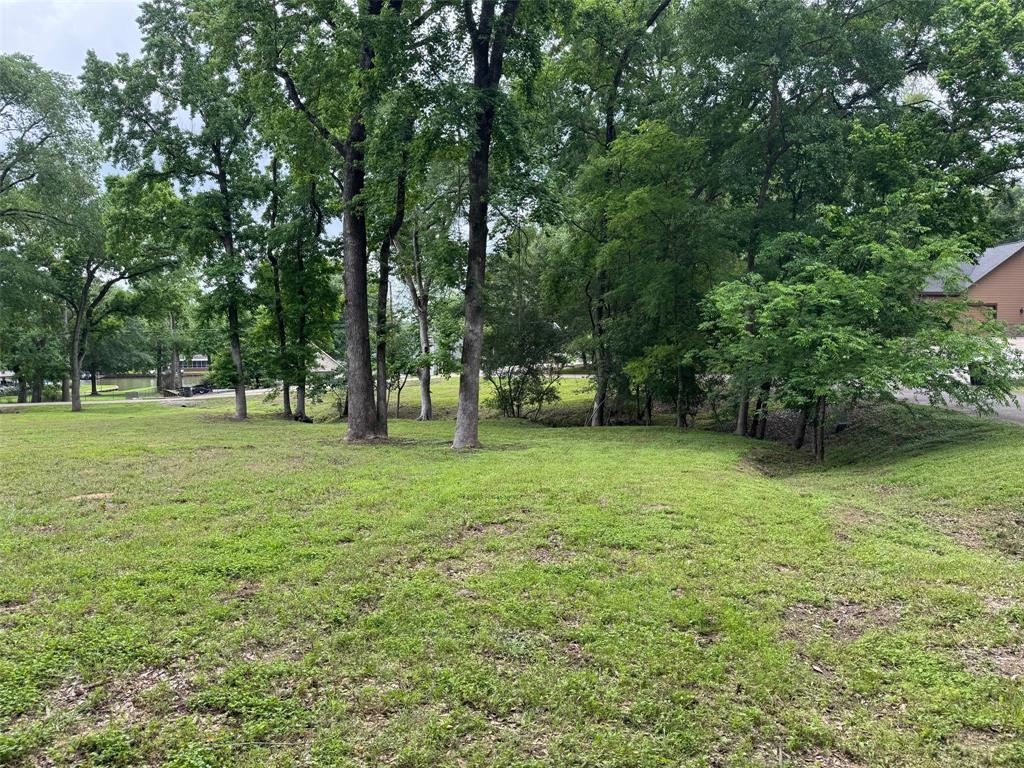 13455 Country Oak Drive, Willis, Texas image 10