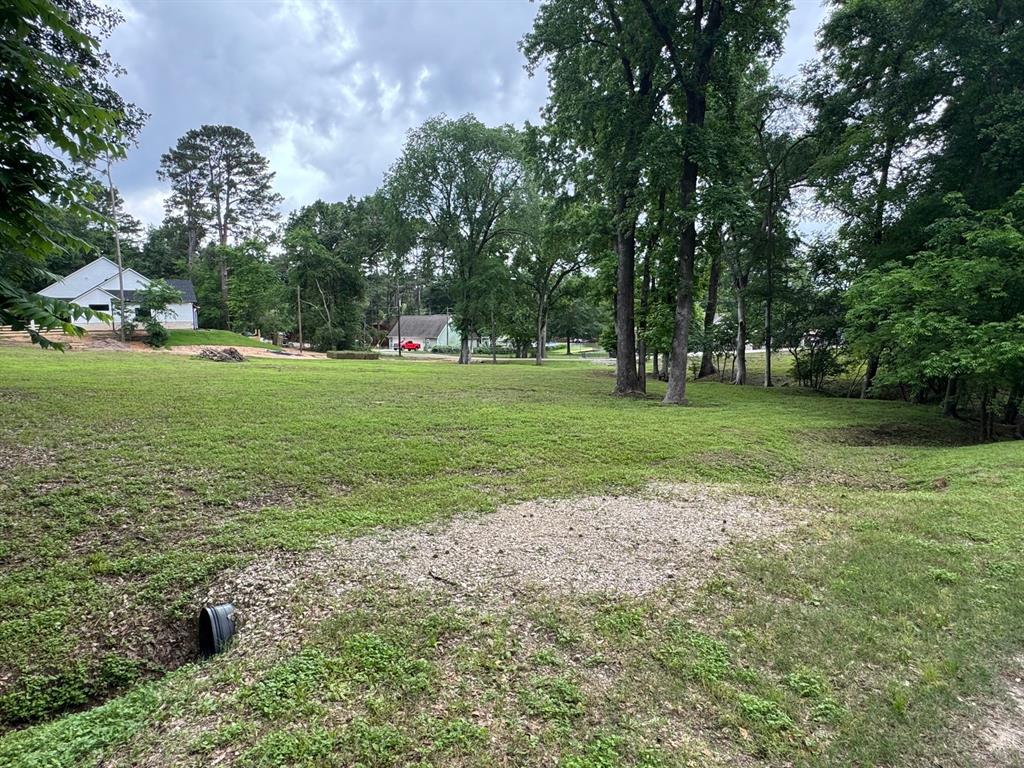 13455 Country Oak Drive, Willis, Texas image 7