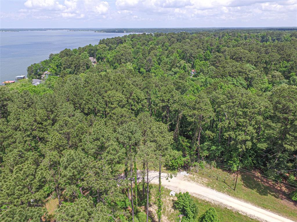 TBD Grand Pine, Livingston, Texas image 7