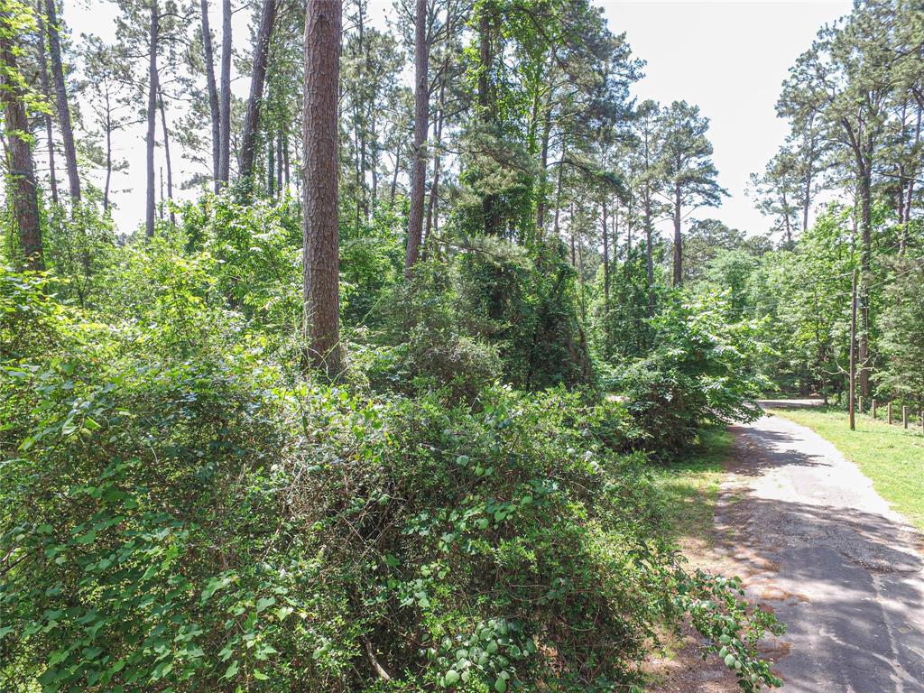 TBD Grand Pine, Livingston, Texas image 1