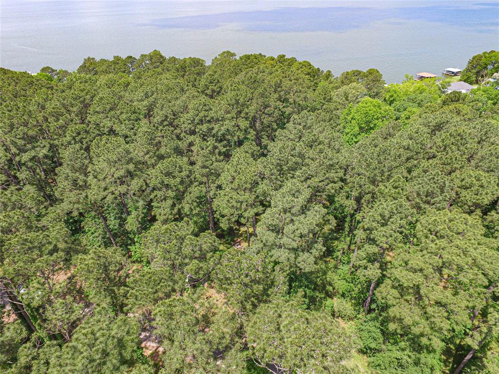 TBD Grand Pine, Livingston, Texas image 8