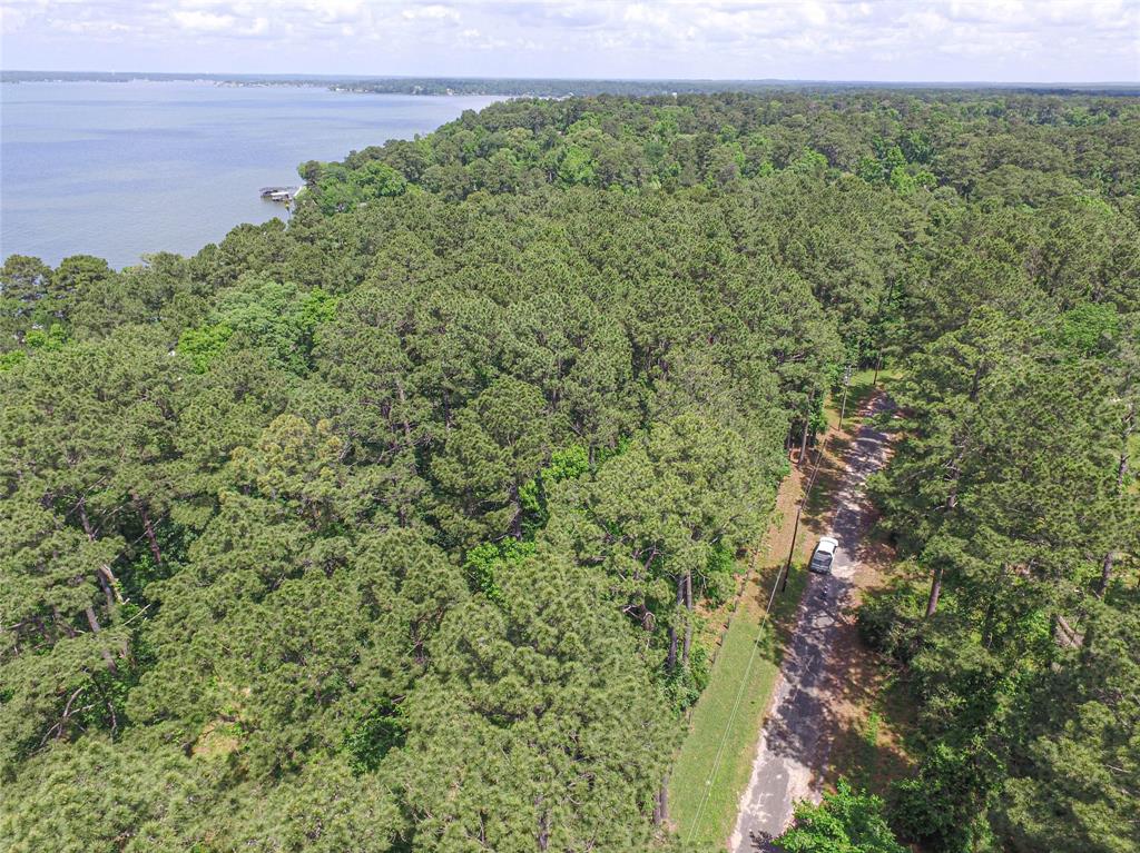 TBD Grand Pine, Livingston, Texas image 6
