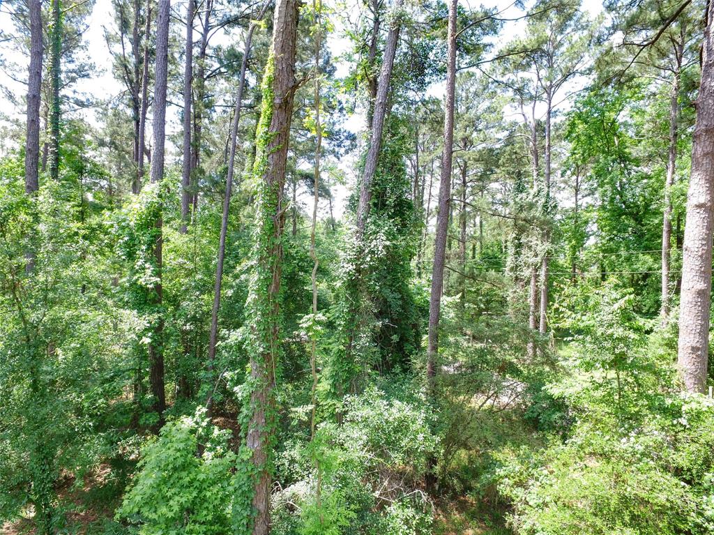TBD Grand Pine, Livingston, Texas image 4