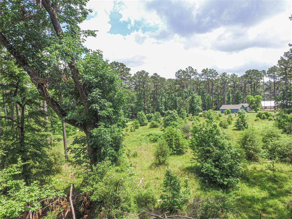 TBD Grand Pine, Livingston, Texas image 3