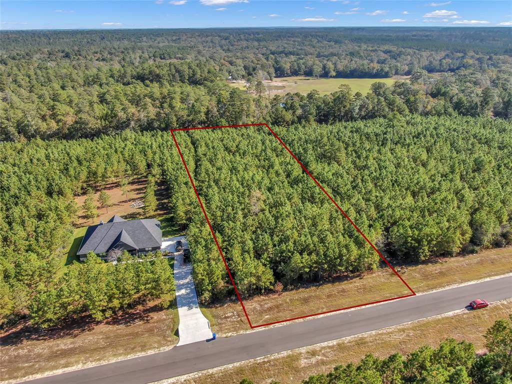 12007 High Branch Way