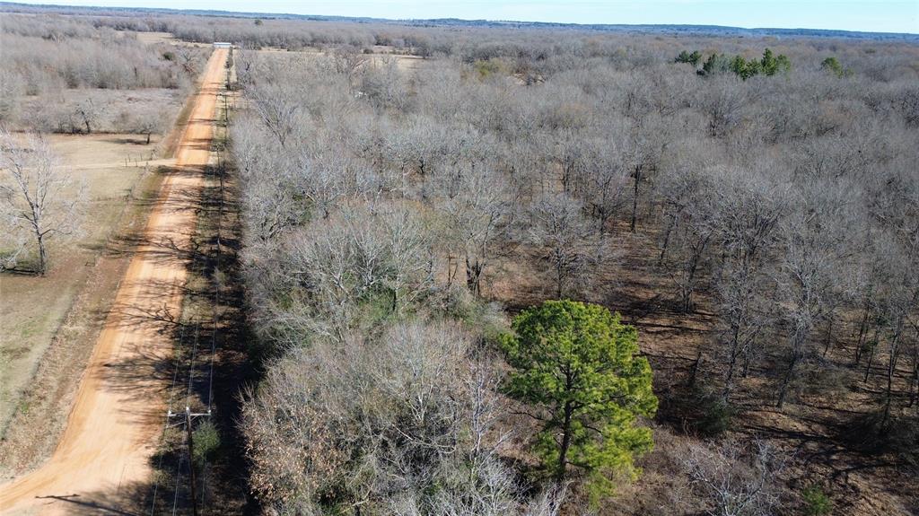 TBD Navarro Crossing Road, Grapeland, Texas image 1