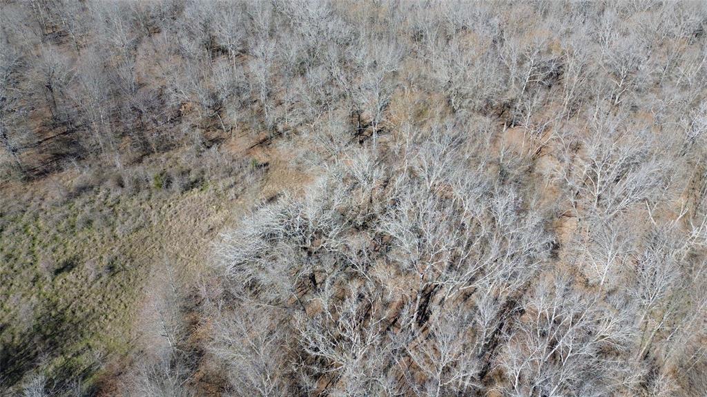 TBD Navarro Crossing Road, Grapeland, Texas image 8