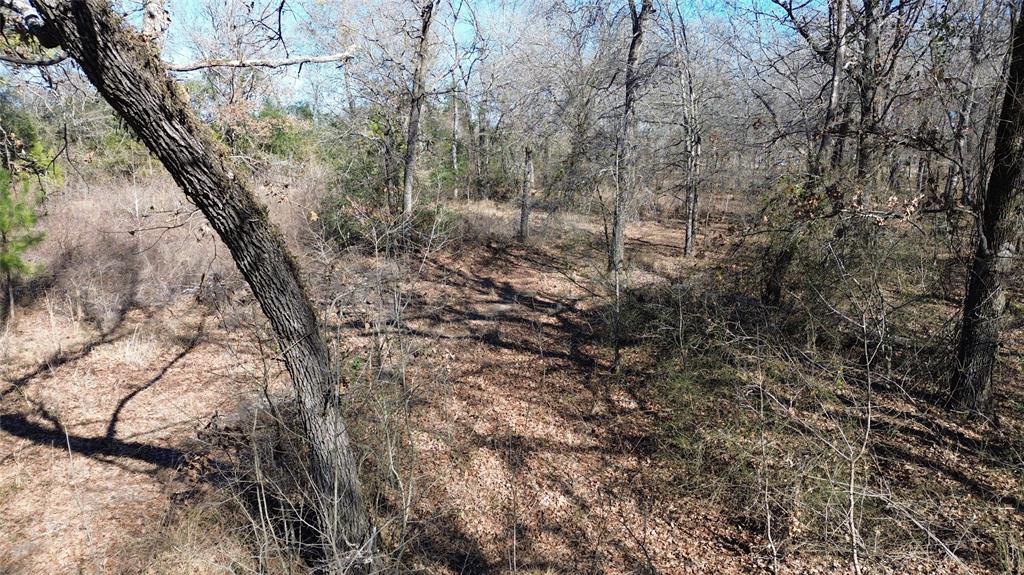 TBD Navarro Crossing Road, Grapeland, Texas image 14