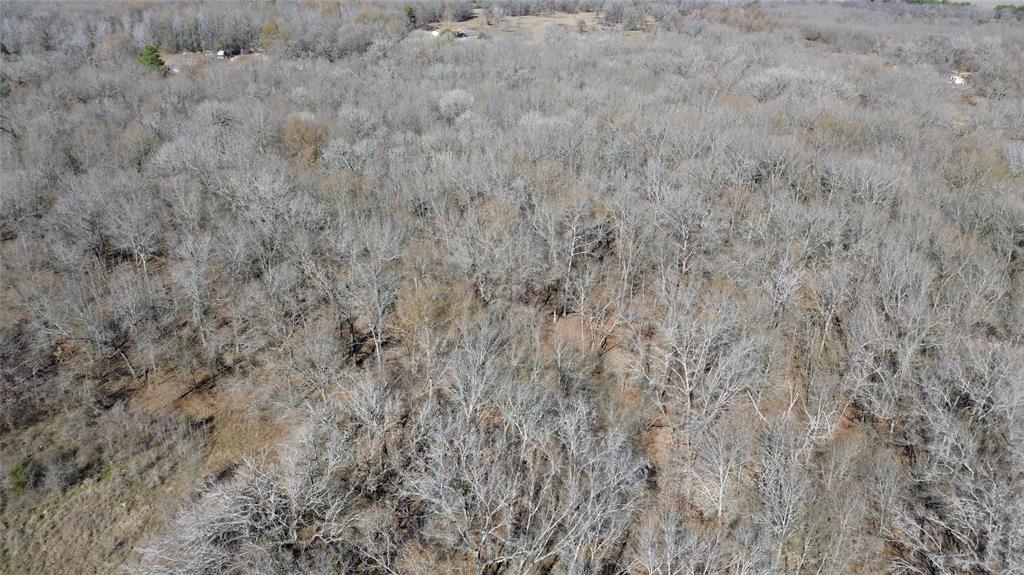 TBD Navarro Crossing Road, Grapeland, Texas image 9