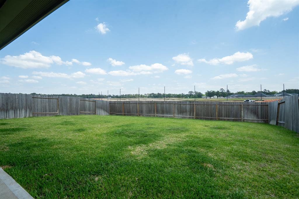 24737 Mountain Tree Drive, Magnolia, Texas image 10